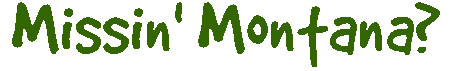 Missin_Monta_21255.gif (9240 bytes)